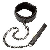 Boundless Collar & Leash - Black