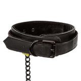 Boundless Collar & Leash - Black