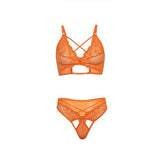 Amina Soft Cup Lace and Mesh Two Piece Set - Dragon Fire -
