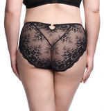Floradora Hi Cut Brief - Black -
