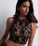 Night at Paradise Top - Obsidian -