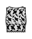 Night at Paradise Top - Obsidian -