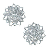 Ice Crystals Jewel Reusable Silicone Nipple Cover Pasties - Silver