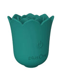 PlusOne Succulent Arouser