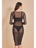 Long Sleeve Allover Sheer Dress - Black -