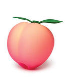 ROMP Pink Peach