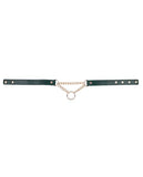 Sportsheets Sex & Mischief Indica Day Collar