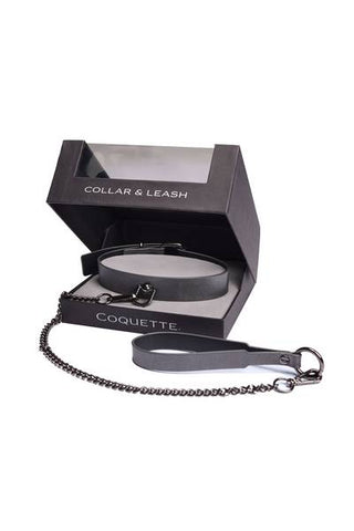 Pleasure Collar & Leash - Grey