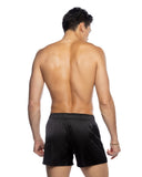 Champion Boxer - Black -