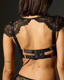 Daphne Bra - Black -
