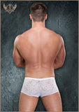 Stretch Lace Mini Short - White -