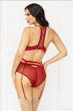 Applique & Mesh Bra Set - Burgandy