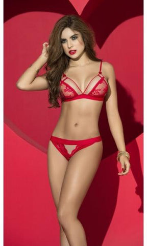 Red - Triangular Top with Matching Panty -