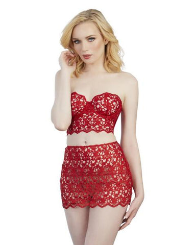 Embroidery Lace Bustier and Garter Skirt - Ruby -