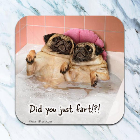 Did You Fart Pugs Coaster