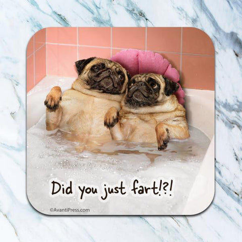 Did You Fart Pugs Coaster
