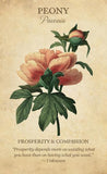 Botanical Inspiration Deck/Book Set