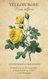 Botanical Inspiration Deck/Book Set
