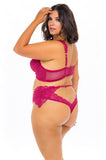 Harper Underwire Bra Set with Lace and Mesh Detail - Cherries Jubilee -