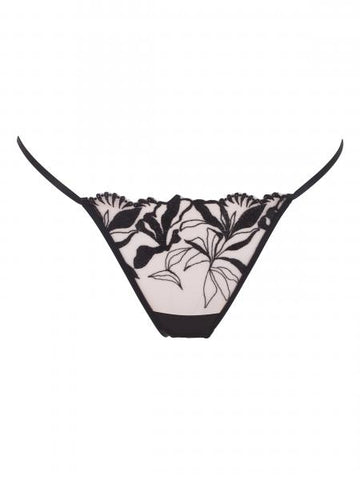 Persephone Panty - Sheer/Black -