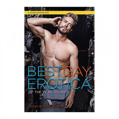 Best Gay Erotica of the Year Volume 3 Book