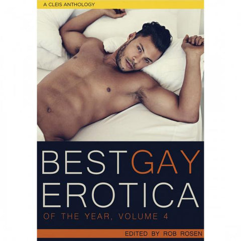 Best Gay Erotica of the Year Volume 4 Book