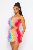 Tulle Rainbow Skirt Set