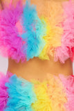Tulle Rainbow Skirt Set