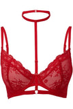 Sheer Evil Bra - Scarlet -
