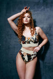Modal Lounge Brief - Moths & Butterflies -