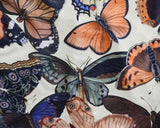 Modal Lounge Brief - Moths & Butterflies -