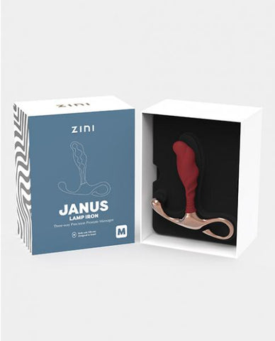 Zini Janus Lamp Iron - Medium Maroon